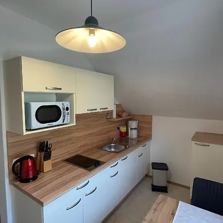 公寓 费力恩吾荒斯恩酒店 *