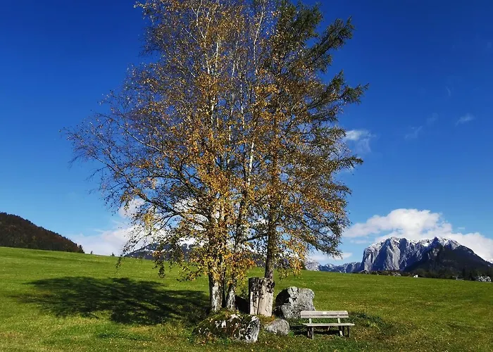 Διαμέρισμα Syen